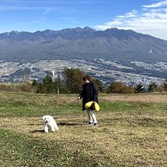 153位のイメージ