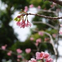 70位のイメージ