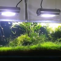 106位のイメージ