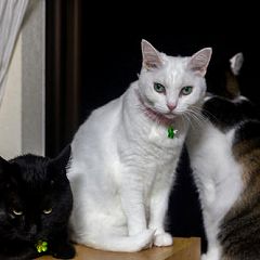 10位のイメージ