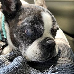 10位のイメージ