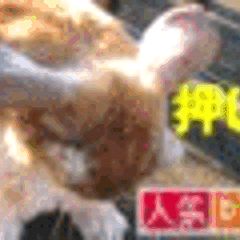 18位のイメージ