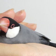 87位のイメージ