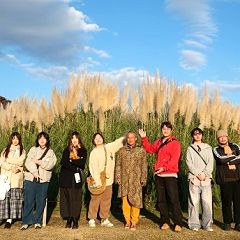 50位のイメージ