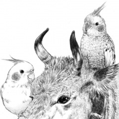 19位のイメージ