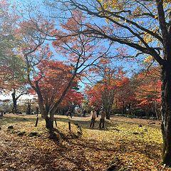 78位のイメージ