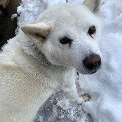 28位のイメージ