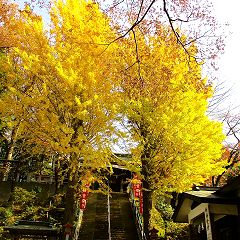 26位のイメージ