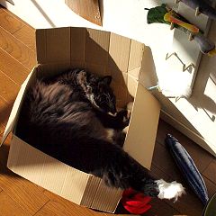 190位のイメージ