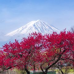 120位のイメージ