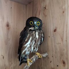 14位のイメージ