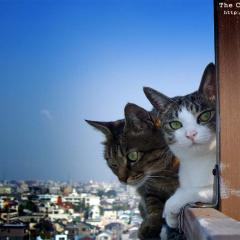 91位のイメージ