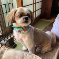 13位のイメージ