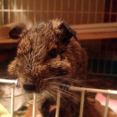 94位のイメージ