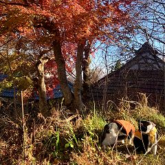 132位のイメージ