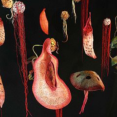 11位のイメージ