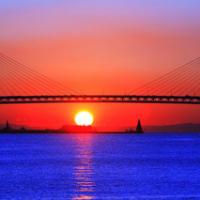 494位のイメージ