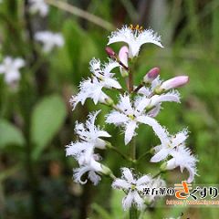 123位のイメージ