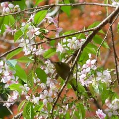 13位のイメージ