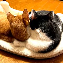 24位のイメージ