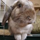 19位のイメージ