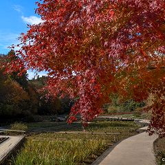 104位のイメージ