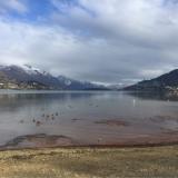 137位のイメージ