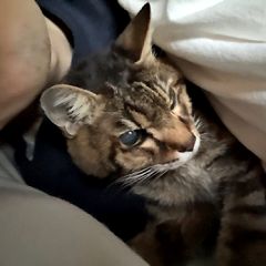 92位のイメージ