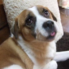 30位のイメージ