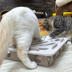 63位のイメージ