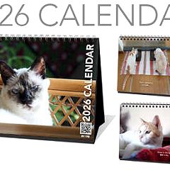 40位のイメージ