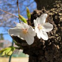 103位のイメージ