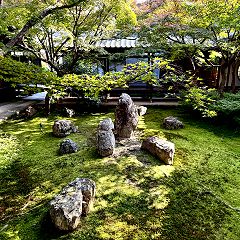 14位のイメージ