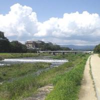 186位のイメージ