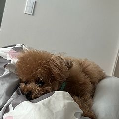 121位のイメージ