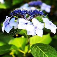 24位のイメージ