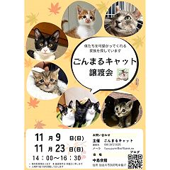 12位のイメージ