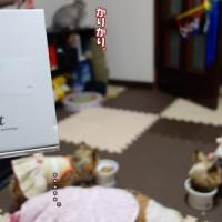 28位のイメージ