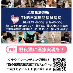 35位のイメージ