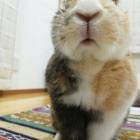 133位のイメージ