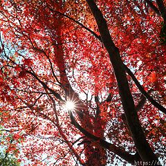 12位のイメージ