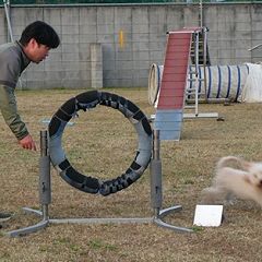 227位のイメージ