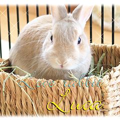 13位のイメージ