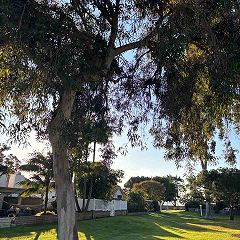 34位のイメージ