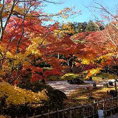 155位のイメージ