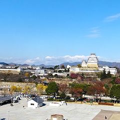 155位のイメージ