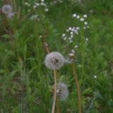 15位のイメージ