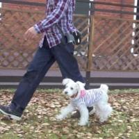 17位のイメージ