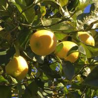 84位のイメージ