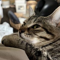 34位のイメージ